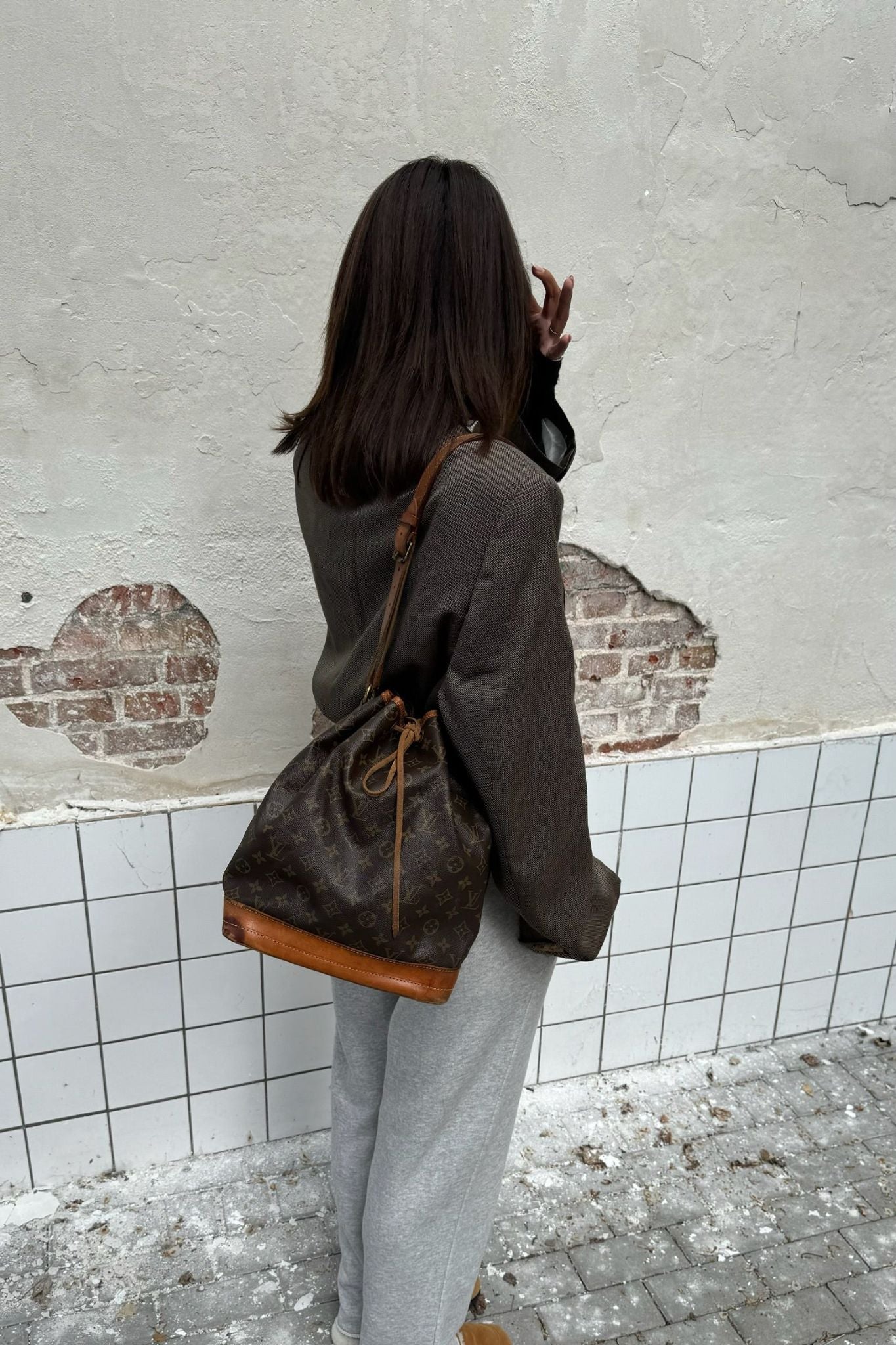 LouisVuittonVintageNoebag2.jpg