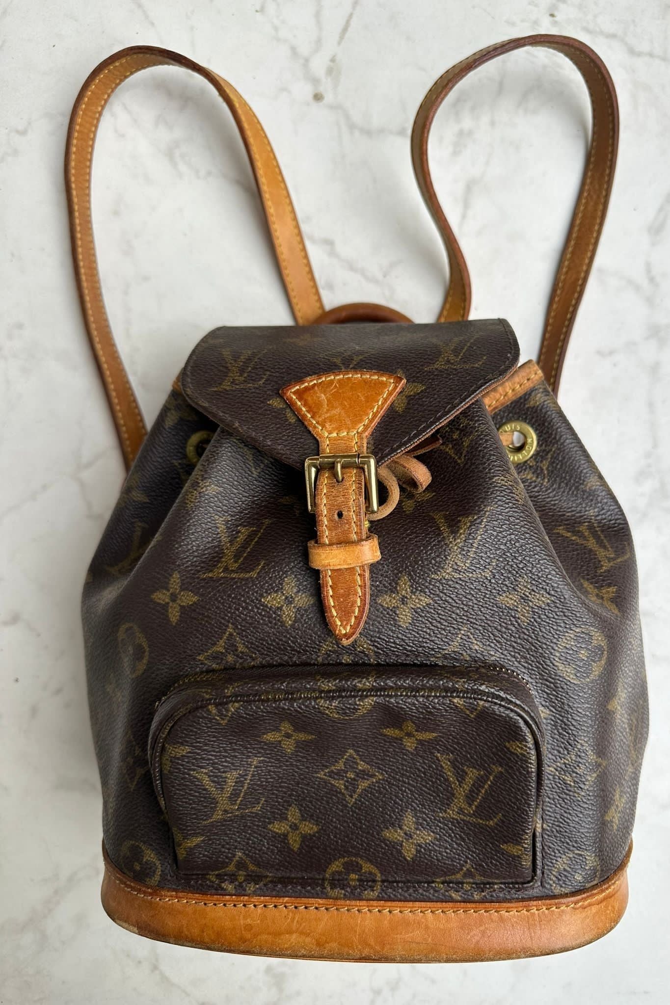 LouisVuittonmontsourisbackpack2.jpg