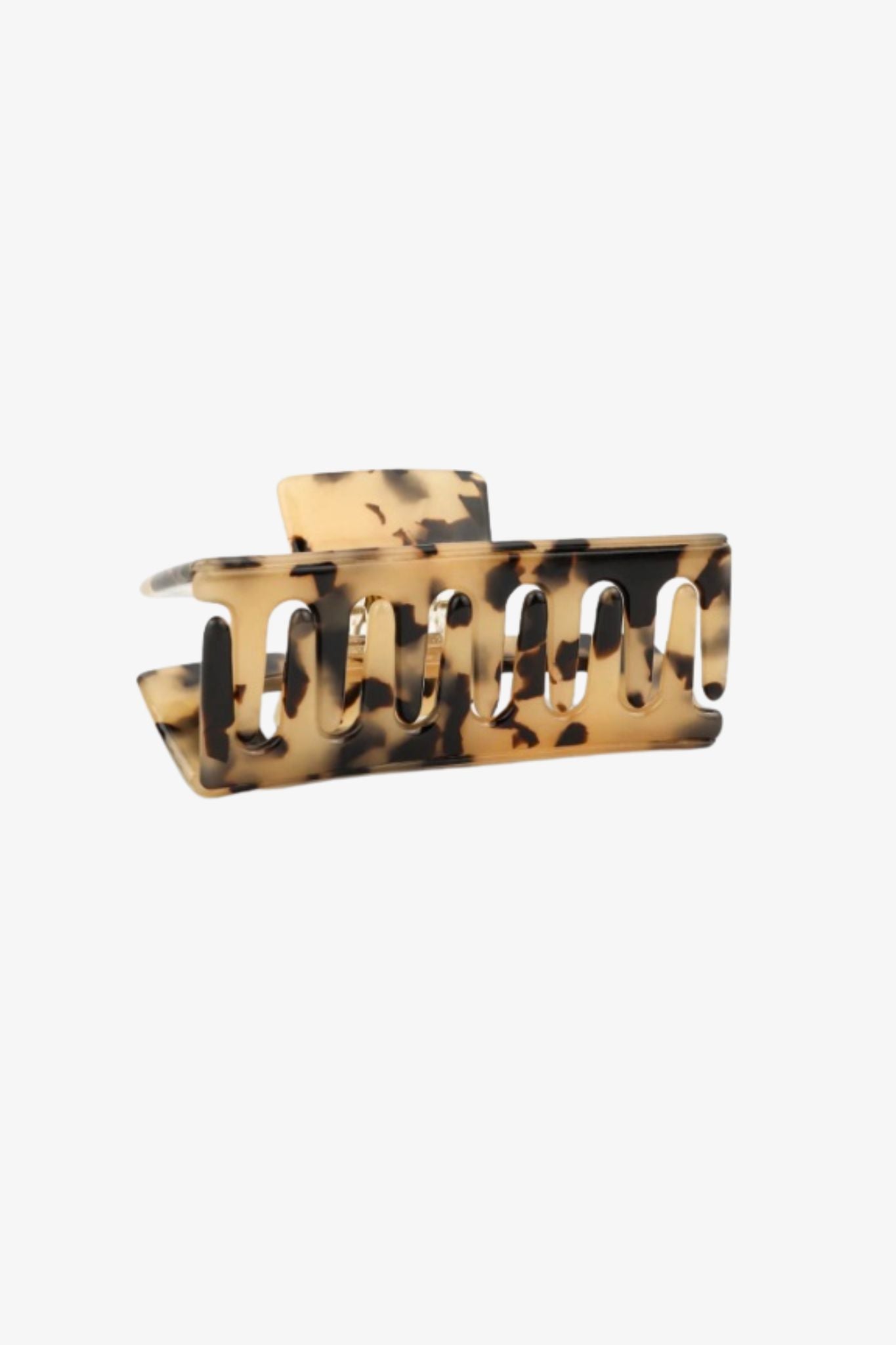 Sasstie | Crush Cheetah