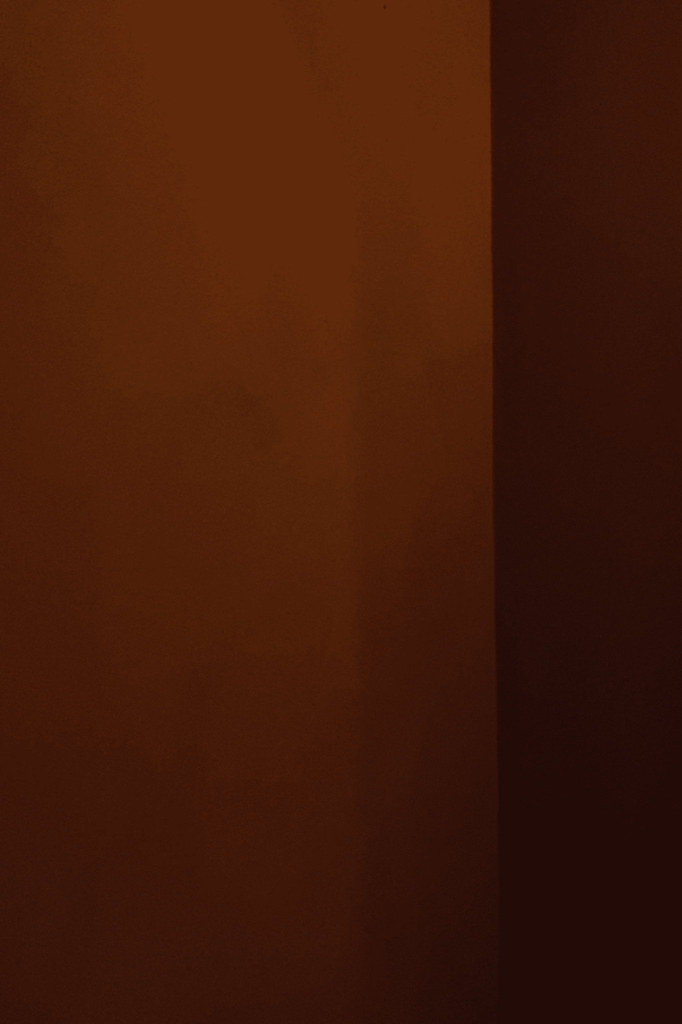 WOW | Malibu paint | 18925