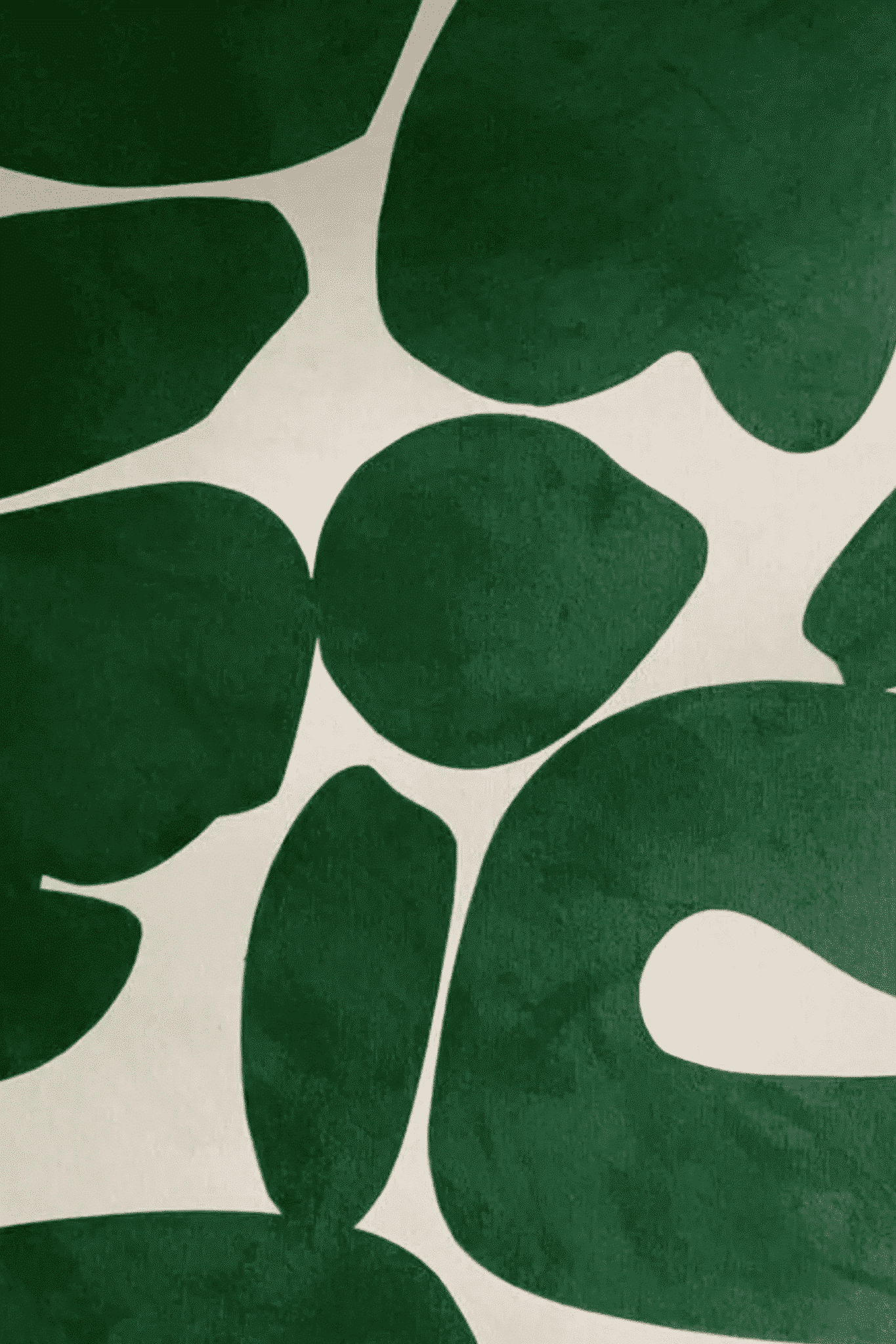 WOW | Palm Springs paint | 18926